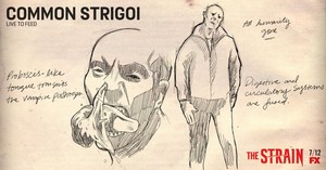  Common Strigoi Sketch