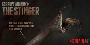  Corrupt Anatomy: The Stinger