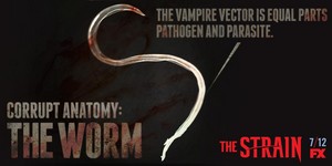  Corrupt Anatomy: The Worm
