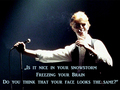 David Bowie lyrics - music fan art