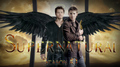 Dean and Castiel            - supernatural fan art