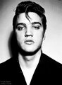 Elvis Presley 💗 - elvis-presley photo