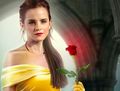 Emma Watson,Belle / Beauty and the Beast - emma-watson photo
