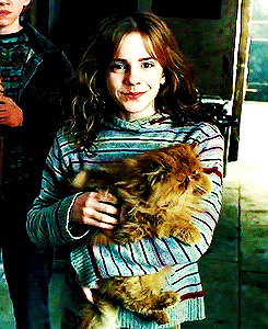  Emma as Hermione(with Crookshanks)