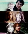 Harry,Hermione and Ron then and now - harry-potter photo