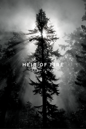  Heir of ngọn lửa, chữa cháy - Alternative Book covers