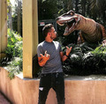 Liam at Universal Studios - liam-payne photo