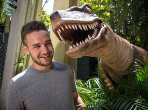  Liam at Universal Studios