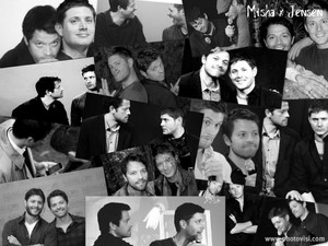  Misha & Jensen ☆