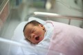 Newborn Baby - babies photo