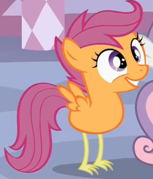  Scootaloo The Chicken