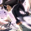 Shadow and rouge - shadow-the-hedgehog photo
