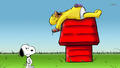 peanuts - Snoopy and Homer wallpaper