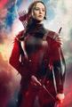 TIM PALEN: Photographs from THG - the-hunger-games photo