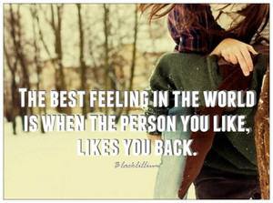  The Best Feeling