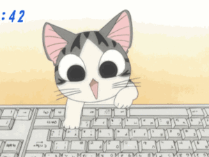  The Cutest Typing Cat In The World