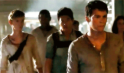  The Scorch Trials