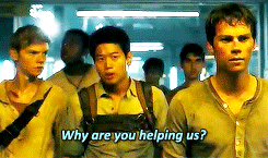  The Scorch Trials