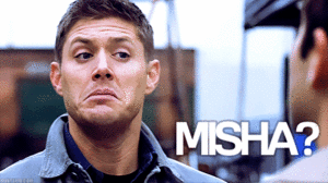  WHAT THE HELL IS A MISHA???