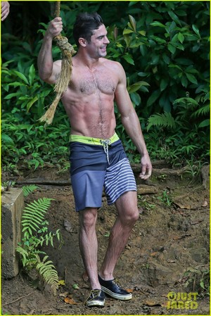  Zac Efron Goes Shirtless in Hawaii, Is plus Ripped Than Ever!