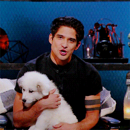  cozey with posey (3)