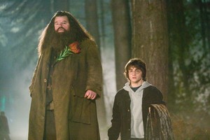  hagrid and harry