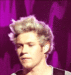             Nialler - one-direction icon