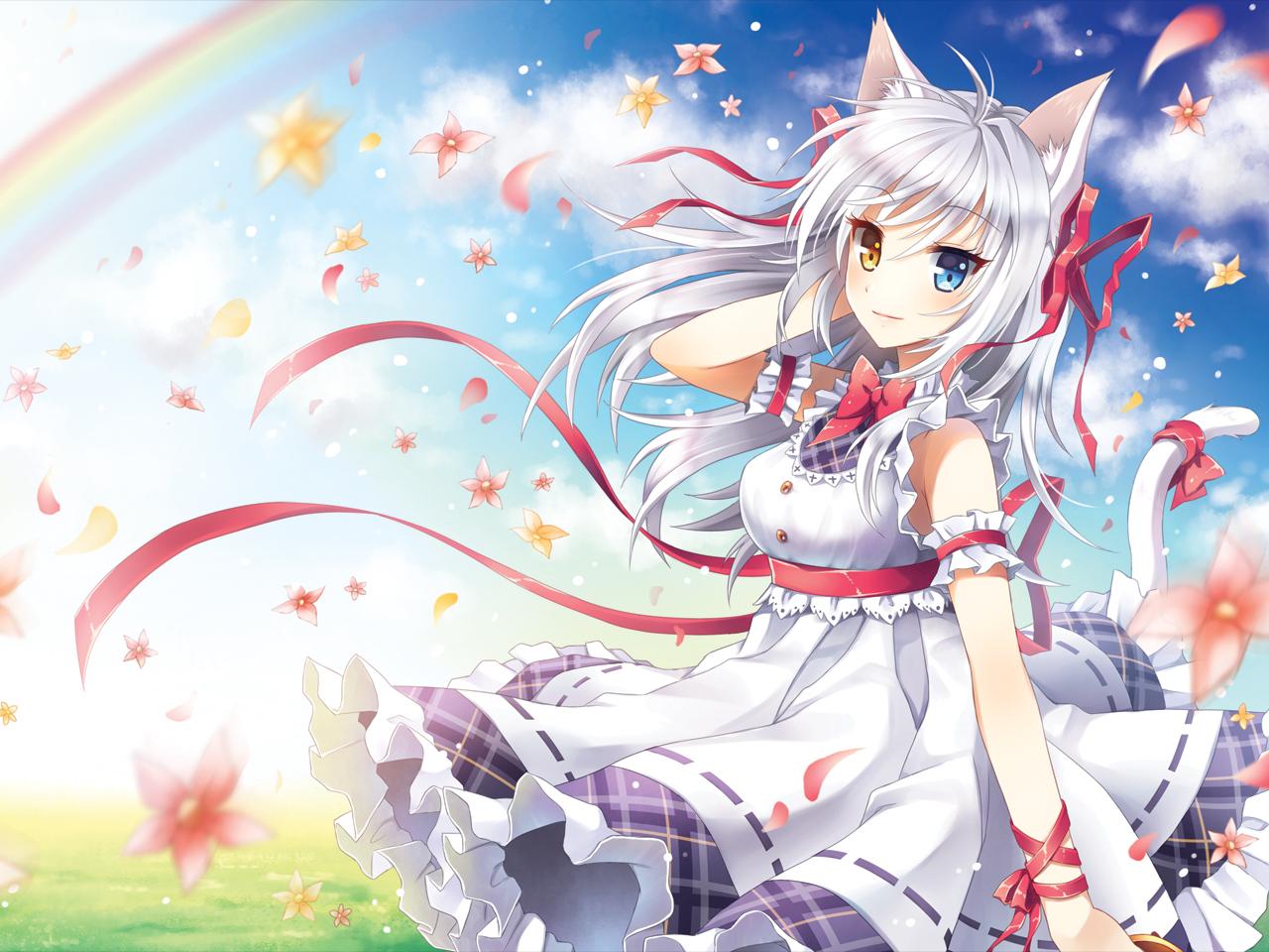24888 anime girls catgirl anime catgrils - Anime Photo (38750620) - Fanpop