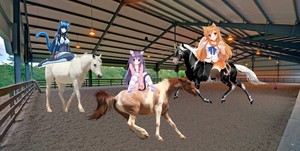  3 cute catgirls riding their beautiful cavalos