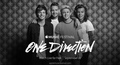 Apple Music Festival - one-direction photo