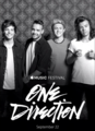 Apple Music Festival - one-direction photo