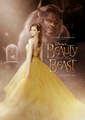 Beauty and the Beast movie - beauty-and-the-beast-2017 photo