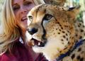 Cheetah closeup from San Diego Safari Park - cheetah photo