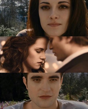  Edward and Bella "I wanna 表示する あなた something"
