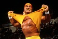 Hulk Hogan - wwe photo