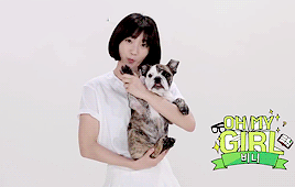 Oh My Girl members with dogs