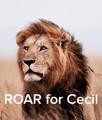 Roar for Cecil - lions photo