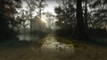 Swamp Fever - The Plantation - left-4-dead-2 photo