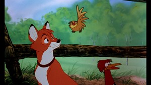  The zorro, fox and the Hound: Screenshots