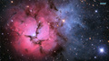 space - Trifid Nebula wallpaper