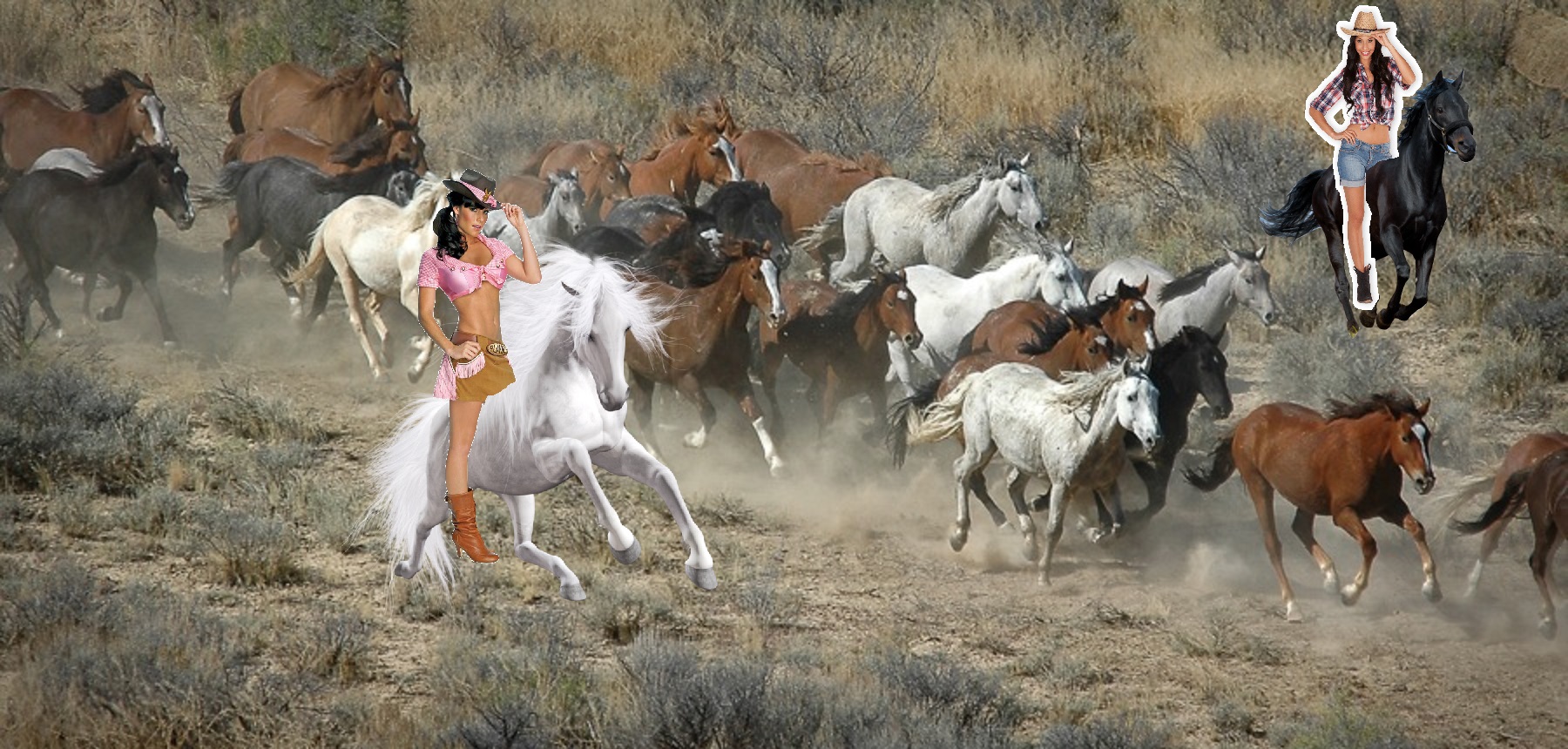 cowgirl rides wild mustang