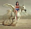 Wonder Woman rides on her beautiful white pegasus - wonder-woman fan art