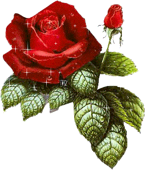  A Rose for Du
