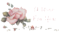 A Rose for YOU - cynthia-selahblue-cynti19 fan art