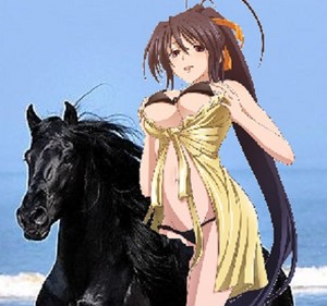  Akeno Himejima riding her Beautiful Black ঘোড়া