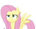 Annoyed Fluttershy - my-little-pony-friendship-is-magic photo