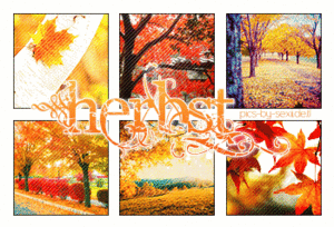  Autumn greetings♥♥♥