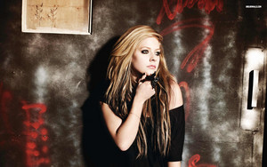  Avril Lavigne karatasi la kupamba ukuta ♥