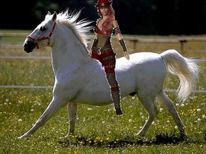 Hot Cowgirl riding on her Beautiful Lipizzaner Stallion
