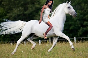 Hot Sexy Black Woman riding an Beautiful Lipizzaner Stallion